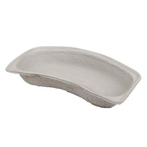 Disposable kidney trays 
