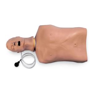 Entrenador de gestión de las vías respiratorias torso 