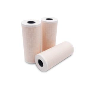 Carta termica compatibile per ECG 100L - 100 mm × 20 m