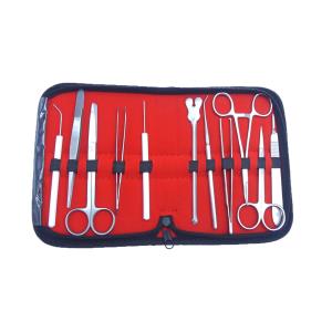 dissezione per esercitazione - 11 ferri