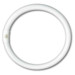 Tube fluorescent rond pour négatoscope - de rechange