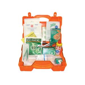 Kit D.lgs. 81/08 All. 2  - valigetta plastica