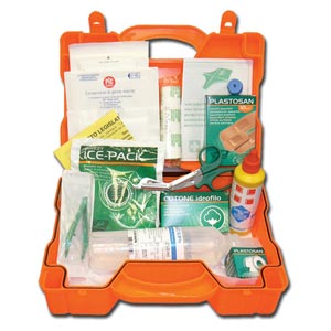 Kit D.lgs. 81/08 All. 2  - valigetta plastica