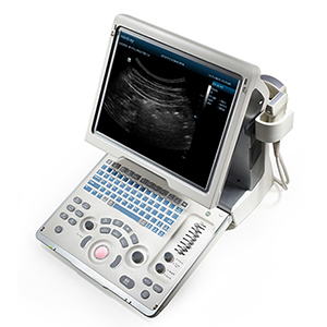 portatile Mindray DP-50 PT - Fisioterapia - senza sonde