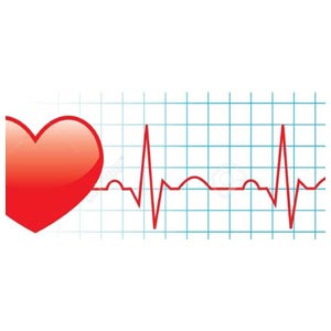 Option d'interprétation pour ECG HD+ Cardioline