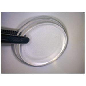 Contact plate big for polarized Videodermatoscope AM series