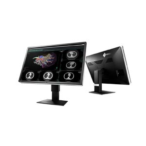 medicale Eizo RX660 RadiForce