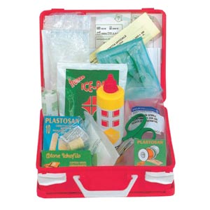 Kit D.lgs. 81/08 All. 2 - valigetta plastica