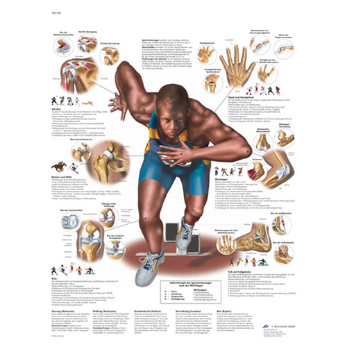 KunLS Poster Medicina Poster Corpo Umano Poster di Anatomia Scientifica per  Aule, Cliniche, Ospedali, Studi Medici Poster Senza Cornice B,60X80CM No  Frame : : Commercio, Industria e Scienza