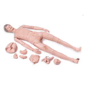 Modello per cura del Malato 3B Scientific Versione PRO