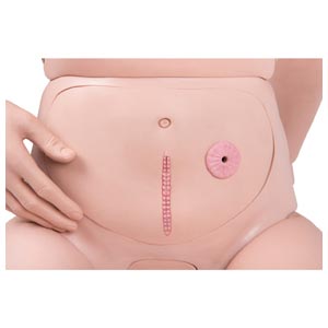 Modelo para atendimento ao paciente 3B Scientific Versão PRO