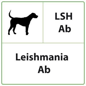 Test veterinario LSH Ab (Leishmania Ab)