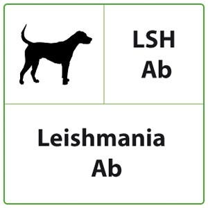 veterinario LSH Ab (Leishmania Ab)