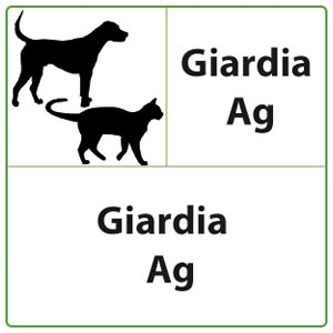 veterinario QuickProfile Giardia Ag