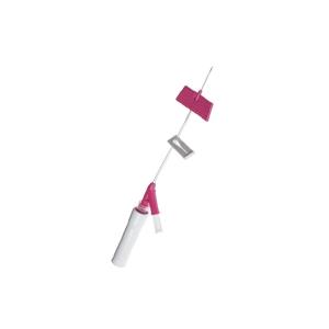 BD Saf-T-Intima™ Set infusione 20G × 25 mm - 1,1 × 25 mm - rosa
