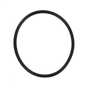 Guarnición para autoclaves Andromeda Vacuum, Europa B Evo, Hydra Evo