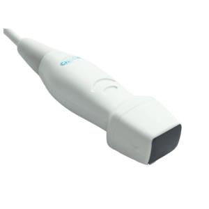 Sonde Phased Array 3,0 MHz avec CW et TDI pour ECO6